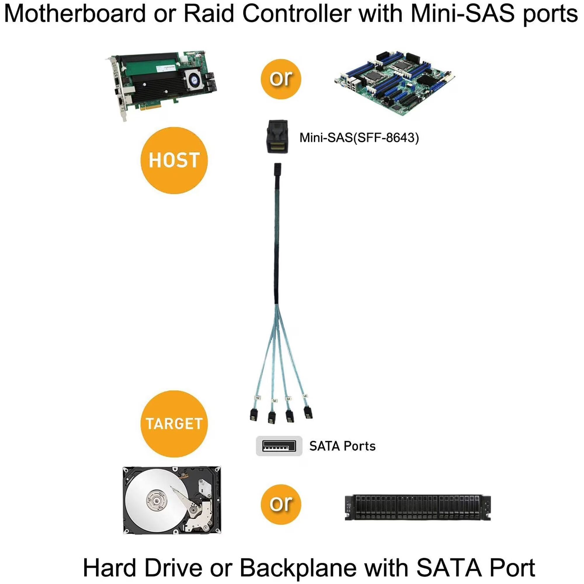 Mini SAS to SATA Cable: 0.5M SFF-8087 to SATA Forward Breakout Cable SFF8087 SAS Controller to Hard Drive